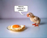 /album/resim-galerisi/komik2-jpg/