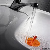 /album/resim-galerisi/d3x7a6mcuu-2krota-ru-jpg/